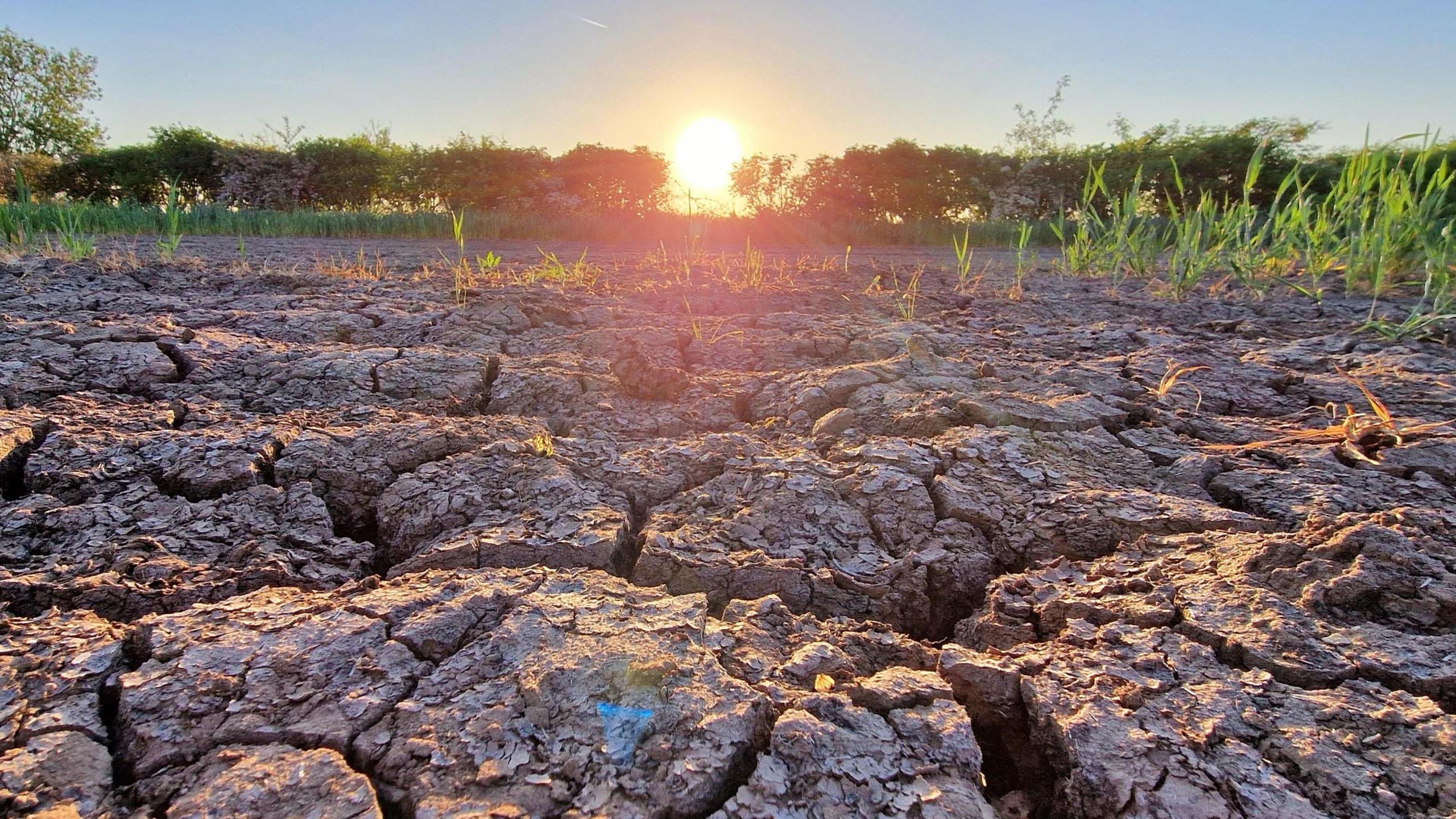 UK on track for driest spring on record with no rain in sight