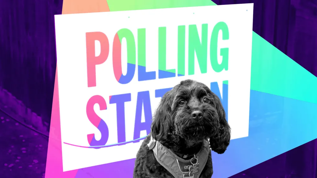 Chris Mason: A wildly unpredictable local elections