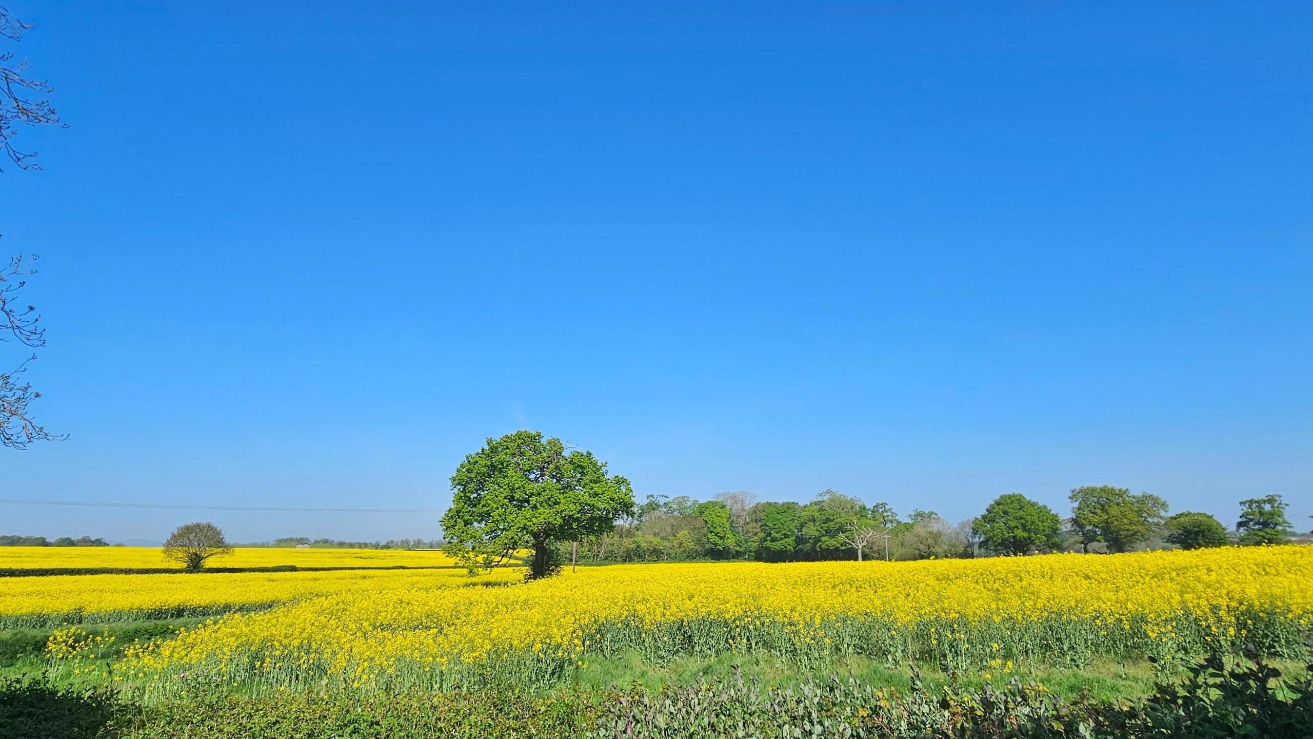 Will UK break heat records for start of May and will it last?