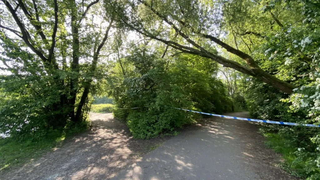 Boy, 16, dies after going swimming in lake