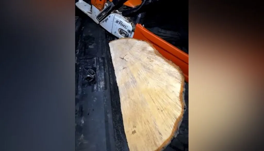 Man accused of felling Sycamore Gap told police he was framed in feud