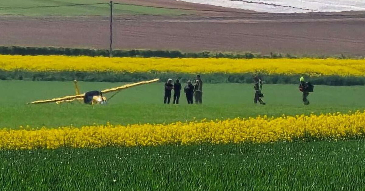 Paul Hollywood rushes to help pilot after terrifying plane crash