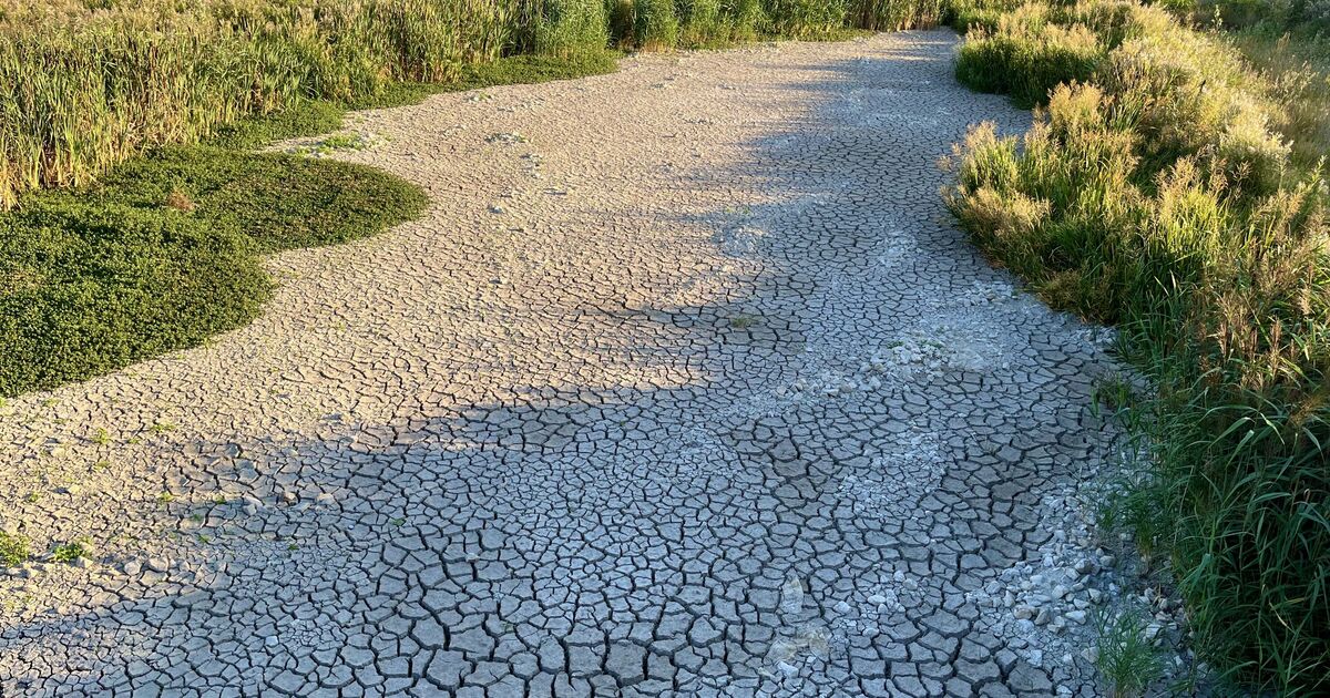 UK to be hit by &#039;driest start&#039; in 69 years as water levels plunge in several areas