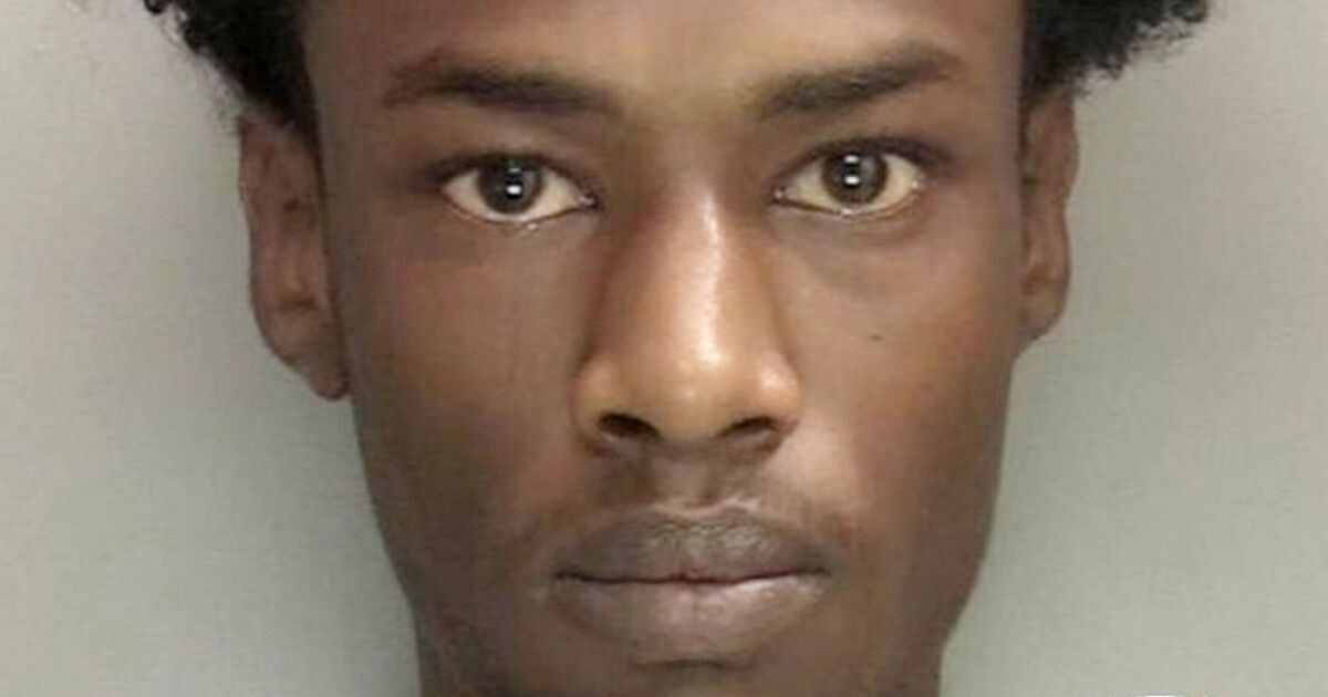 Driver who chased e-bike rider before ramming him and killing him jailed for life