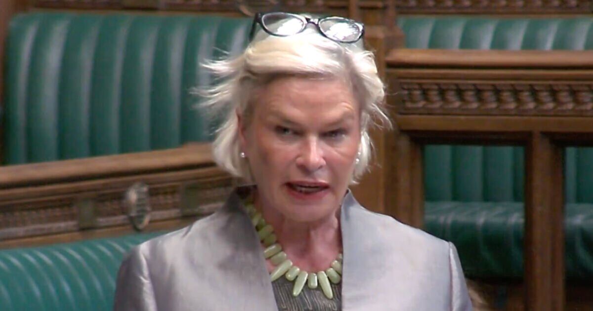 Moment Lib Dem MP addresses the Commons in French during Brexit debate