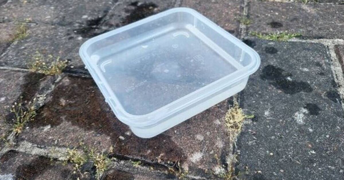 UK households urged to leave bowl of water outside house next week