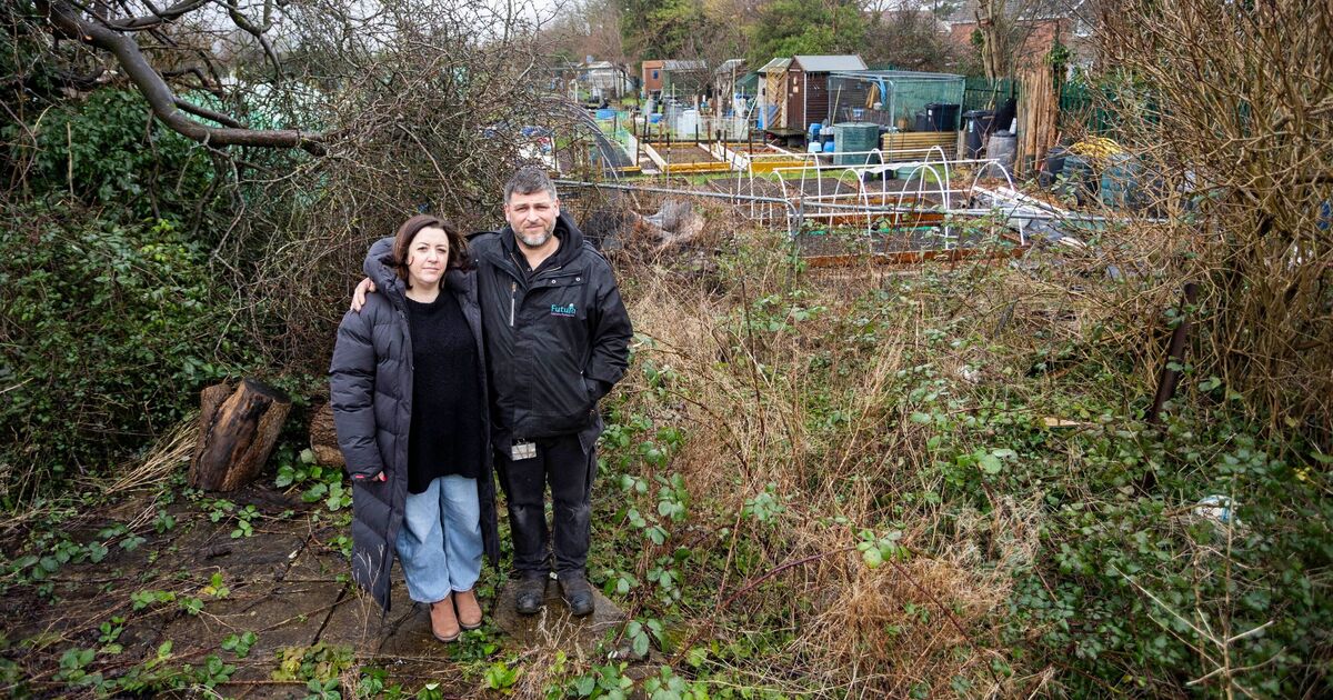 Bristol dad faces £85k bill after losing lawsuit against council over destructive tree