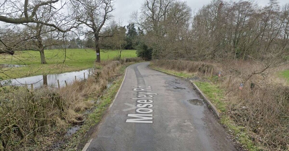 Two dead dogs found dumped in lay-by as RSPCA make desperate appeal