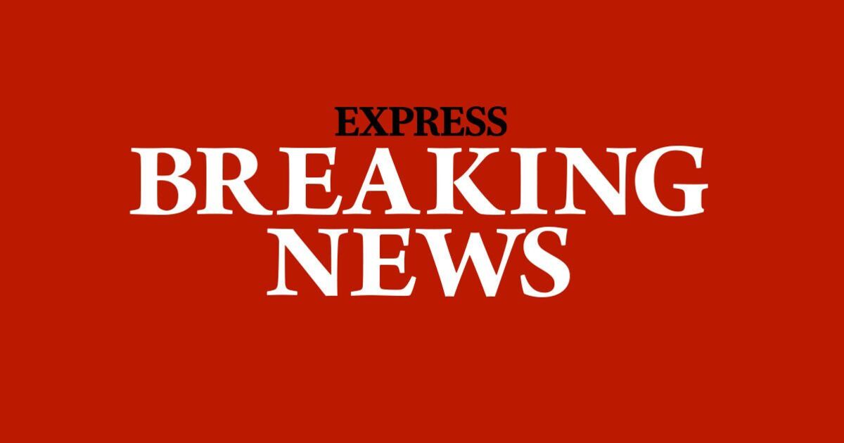 Denmark horror as &#039;several people hit by a car&#039; in country&#039;s capital