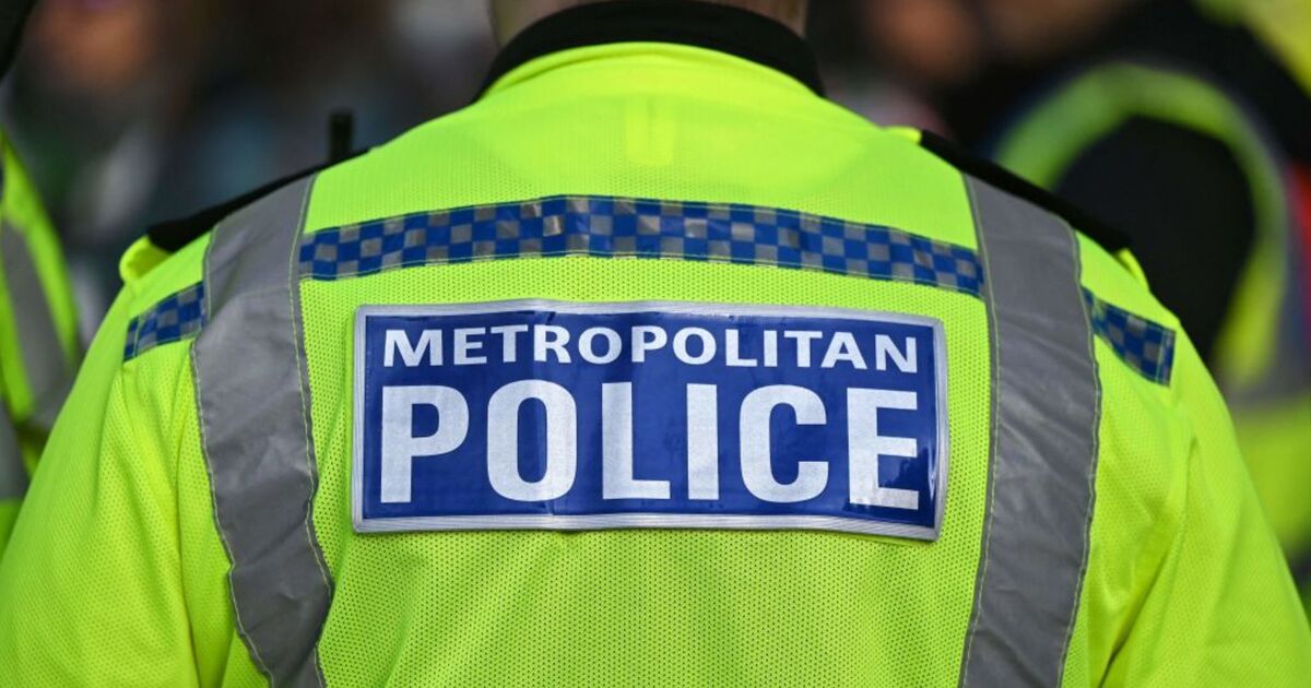 Britain faces &#039;public safety crisis&#039; as low-paid cops threaten to quit