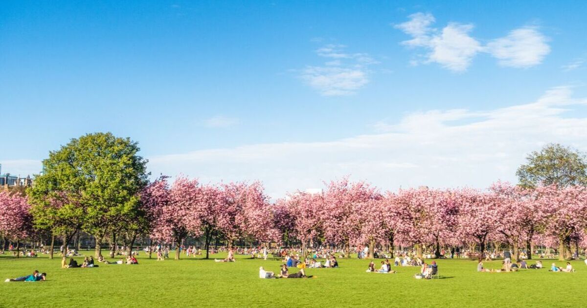 POLL: Are you worried that it will be 29C in UK on May 1?