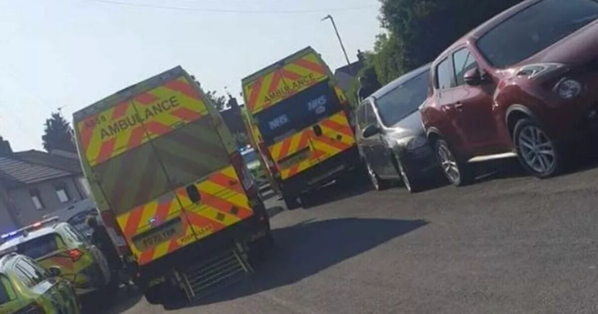 Girl, 2, and boy, 3, &#039;seriously injured&#039; after savage dog attack