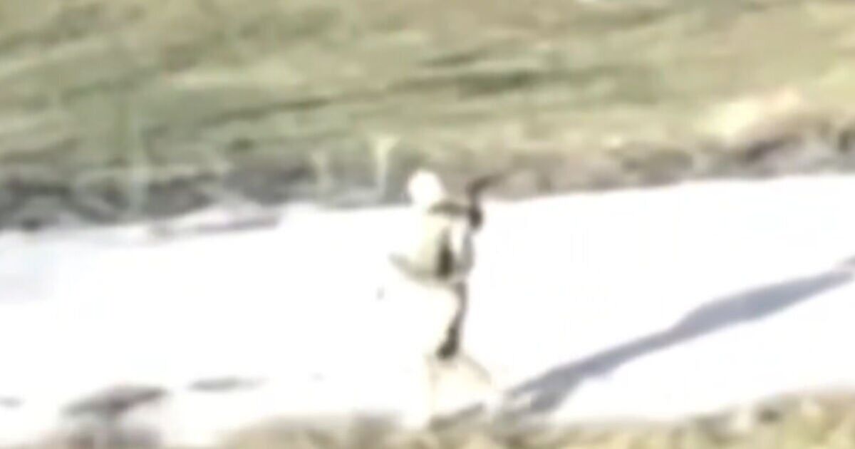 Russian soldier blown up trying to catch a drone as Ukraine launches massive aerial attack