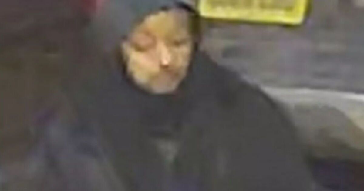 Woman raped in the street in London - police issue urgent warning