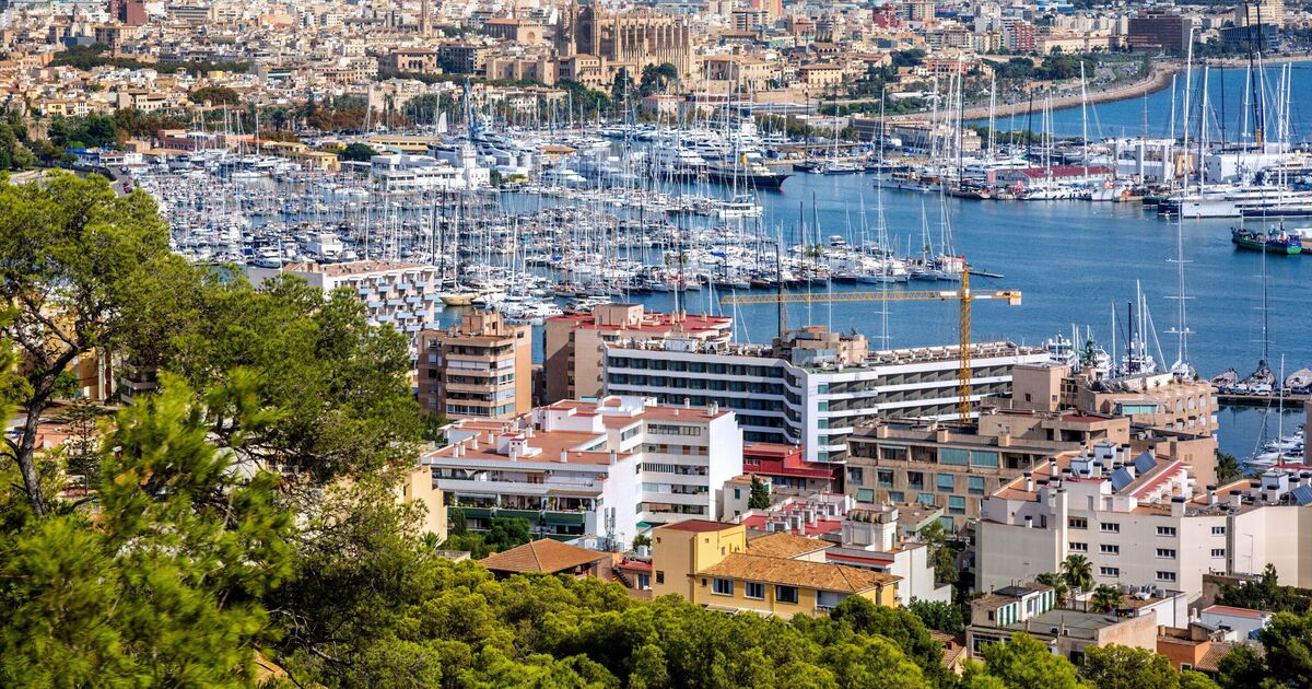 Majorca horror as man dies instantly after being stabbed in heart - killer on lose