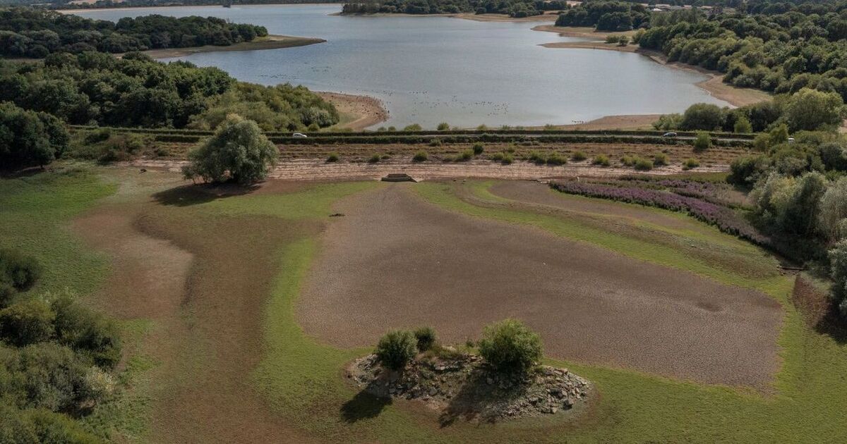 Hosepipe ban looms amid &#039;medium&#039; drought risk as England suffers dry start to spring