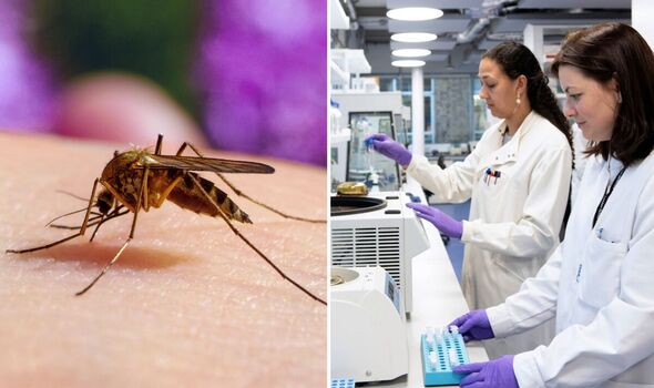 British scientists issue funding plea to fight disease that kills 600,000 every year