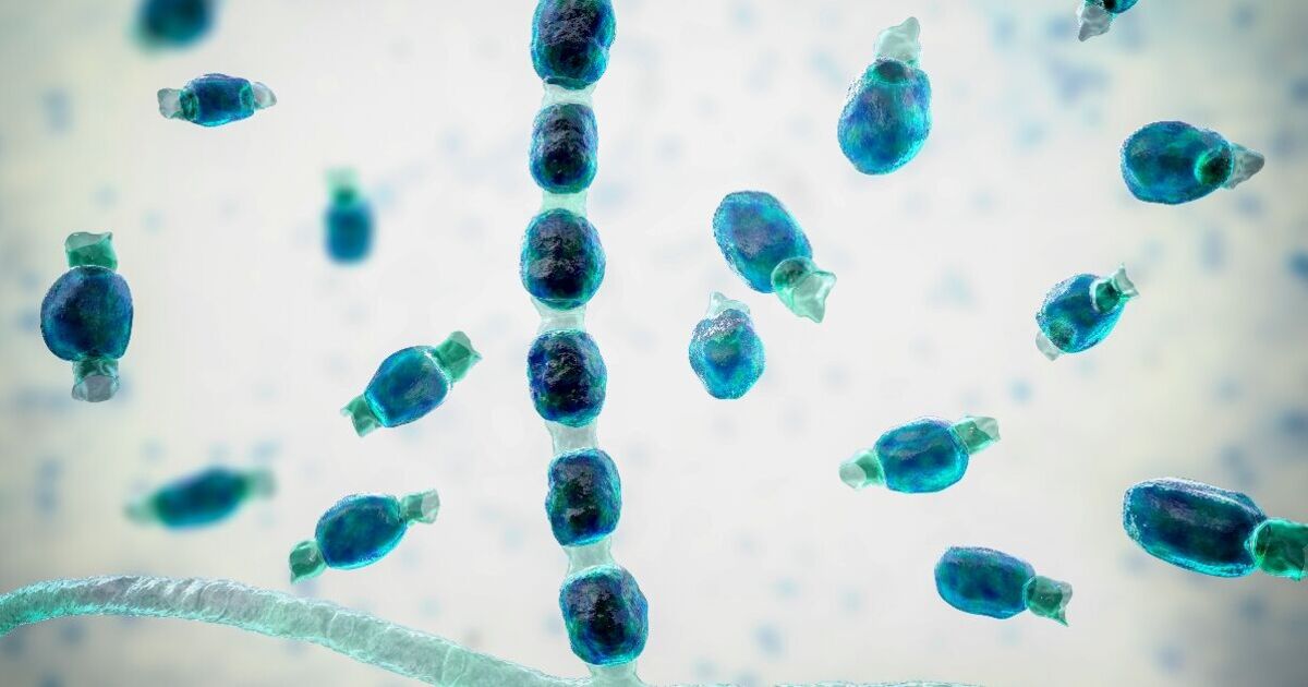World’s next superbug is already spreading among us as WHO releases terrifying list