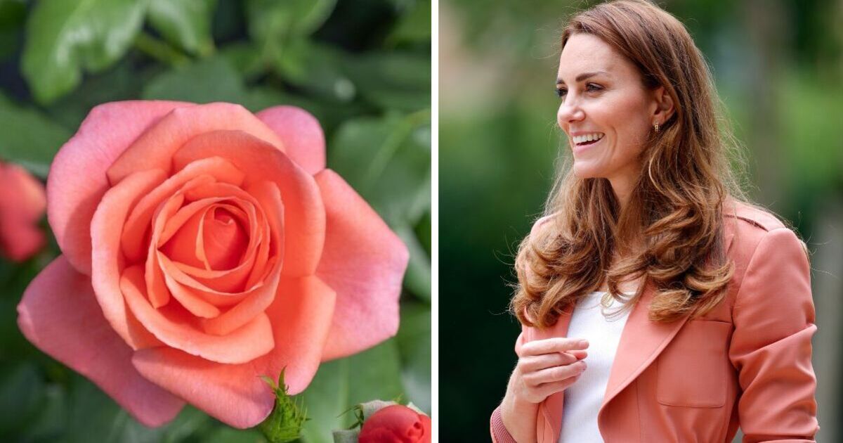 Princess Kate handed incredible new honour with link to key project