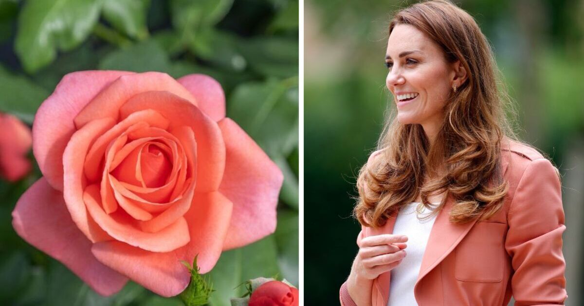 Princess Kate&#039;s amazing new honour she shares with Prince George and Princess Charlotte