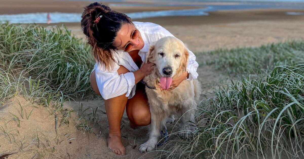 Vet&#039;s crucial advice to dog owners as temperatures rise in UK