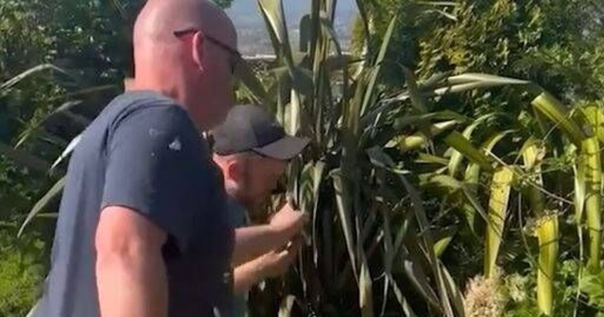 Boss shreds employee&#039;s phone in front of him after he breaks one simple rule