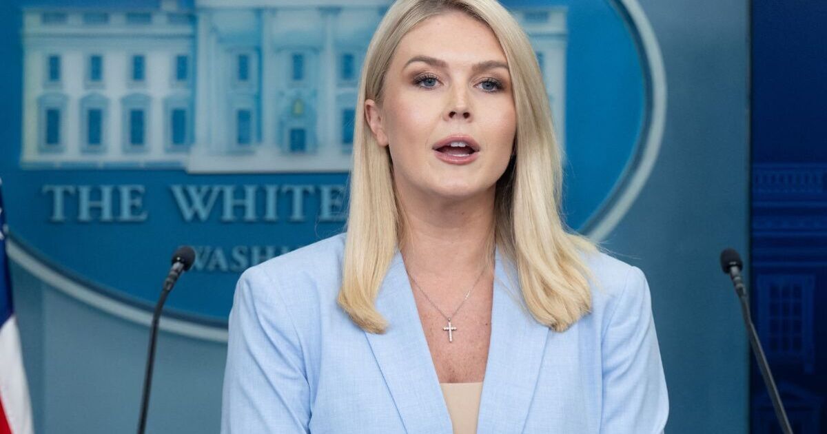 White House dodges question on Pope Leo&#039;s Donald Trump criticism