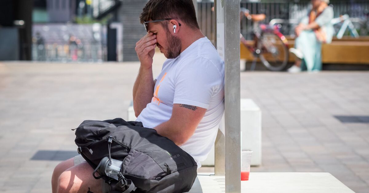 Households in England urged not to go outside between 11am and 3pm on Sunday