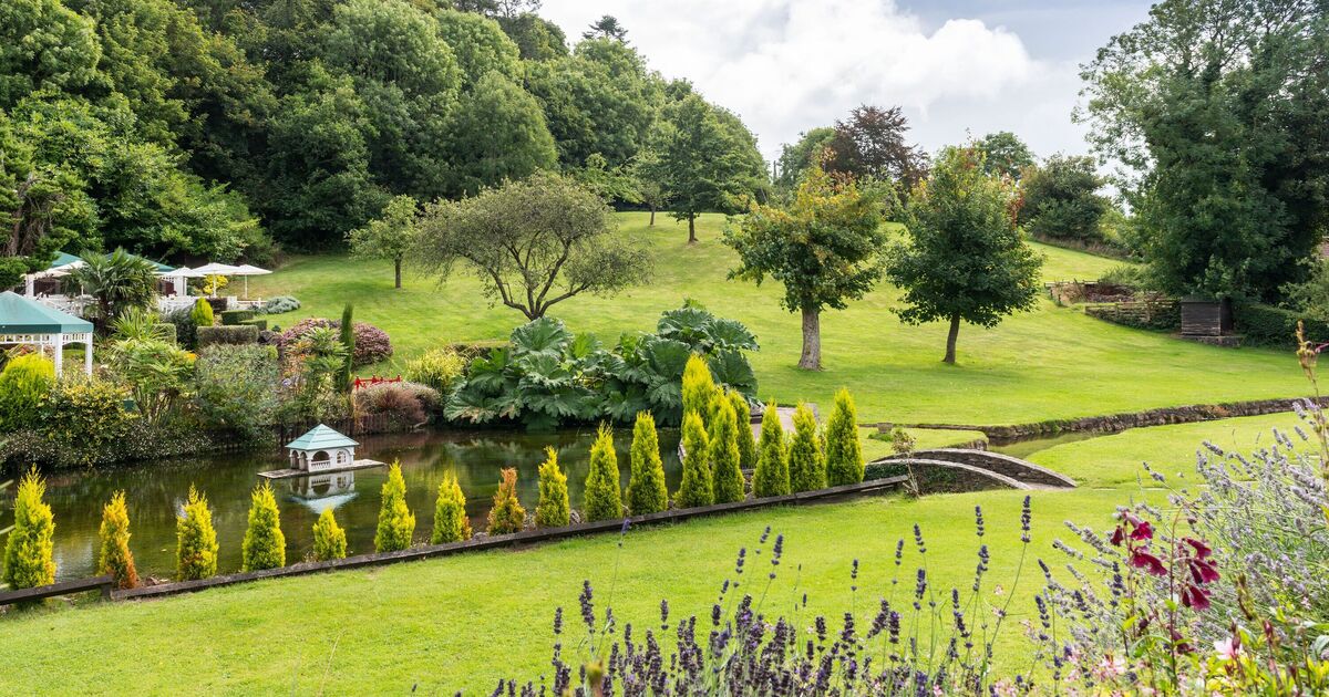 Beautiful country park 15 minutes from seaside where Agatha Christie was a regular visitor