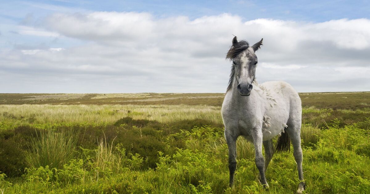Stunning UK walk feels like you&#039;re &#039;above clouds&#039; and is short drive from major city