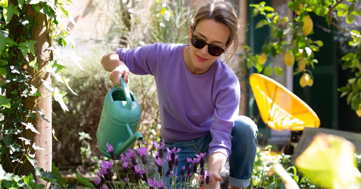 Plants don&#039;t die when you go on holiday if you use clever trick